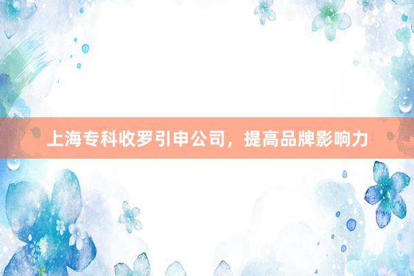 上海专科收罗引申公司，提高品牌影响力